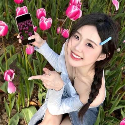 寻狗记